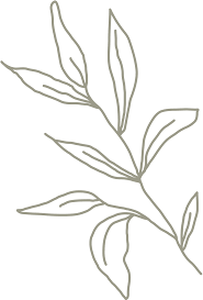 9e8aad681d67fc96a9dca27b407b4034.png